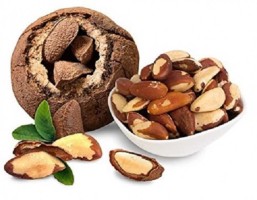 Brazil Nut Delight - Premium Quality Wholesale Offer from Namaskar SAC